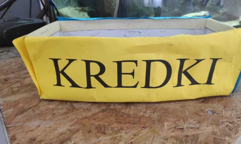 Kredki :)